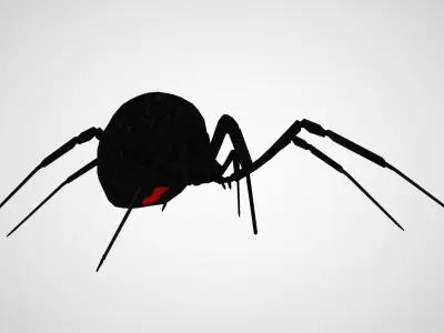 Black Widow Low-poly 3D model