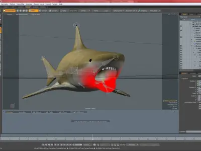 Black Tip Reef Shark 3D model