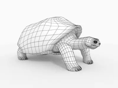 Galapagos-Tortoise tortoise 3D model