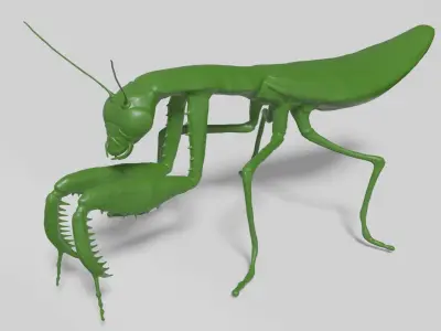 Mantis praying 3D model