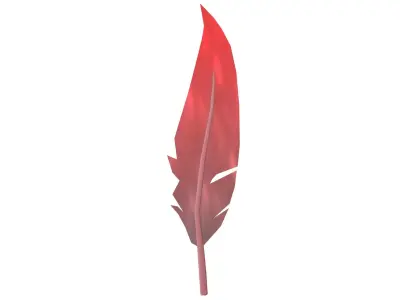 Feathers v1 003 Low-poly 3D model