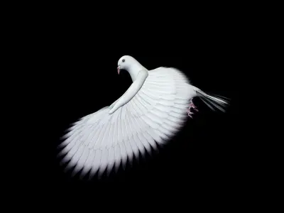 DOVE RIG 3D MODEL 3D model