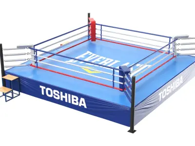 Detailed Boxing Ring 02 3D model