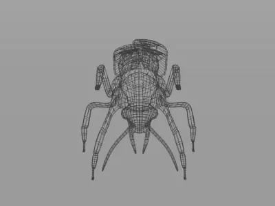 Cockroach beetle Low-poly 3D model