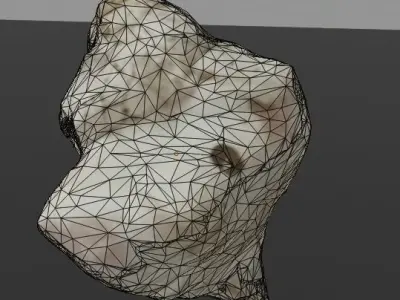 Photoscanned low poly sea shell Free low-poly 3D model