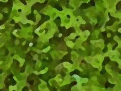 3D Elevation Design 3D model