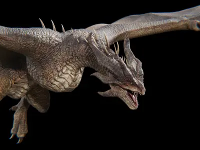 Dragon Wyvern Alpha Low-poly 3D model