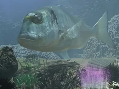 Sea Bream Fish Rigged with Underwater Scene Low-poly 3D model