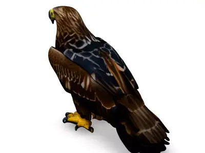 Realistic Golden Eagle 3D Model Low-poly 3D model