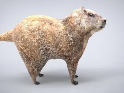 GROUNDHOG Low-poly 3D model