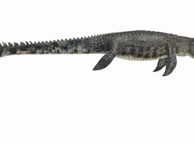 Ancient Marine Reptile - 8K animated 3D model