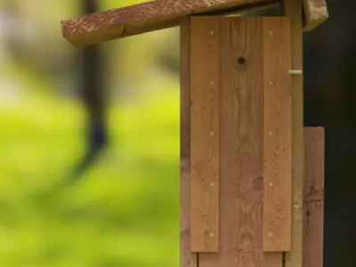 Birdhouse for Bluebirds 3D model