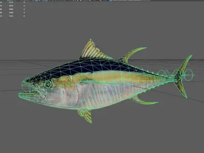 Yellowfintuna Low-poly 3D model