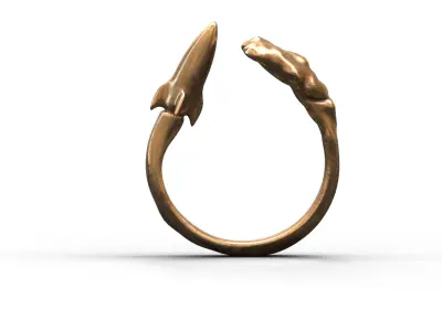 High-Quality 3D Ring Jet Model Low-poly 3D model