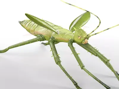 Jungle Nymph insect Low-poly 3D model