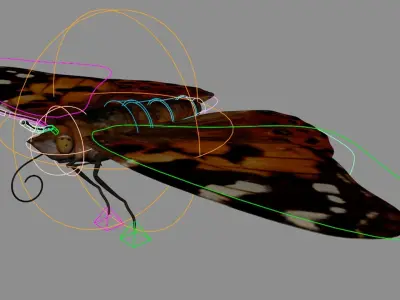 Painted Lady - Butterfly Rig - Animated 3D model