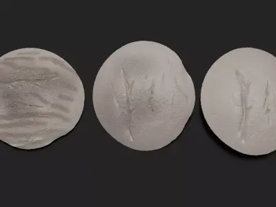 3 Burns and scar 3D patches 3D model