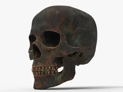 Human Skull Sci-fi Iron B 3D model