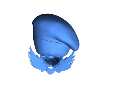 Naval Special Forces Skull 3D print model