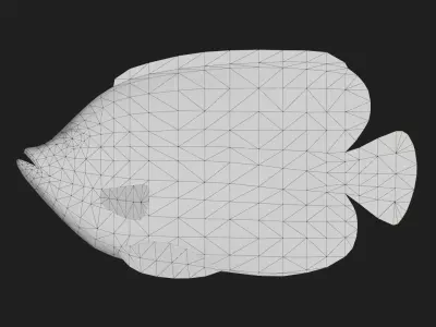 Angelfish Low-poly 3D model