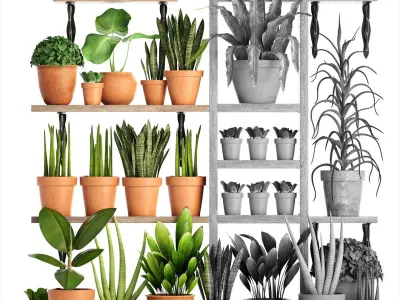 collection of plants in clay pots PART 1 3D model