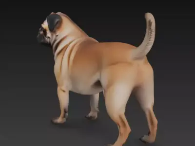 3D model PUG REALISTIC DOG 3D model