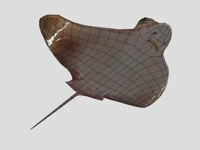 Eagle Ray Realistic Animated Low-poly 3D model