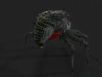Spider - Tarantula with animations 3D model