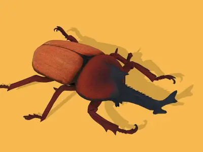Vibrant beetle Low-poly 3D model