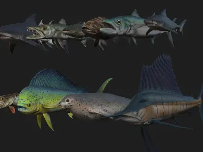 Rigged Low Poly Underwater Fish Collection 3D Models Low-poly 3D model