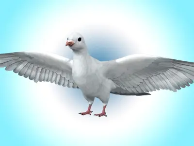 Dove White Pigeon  Low-poly 3D model