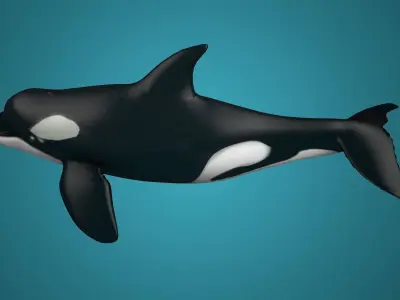 Killer whales Killer ocean  toothed  whales marine animals 3D model