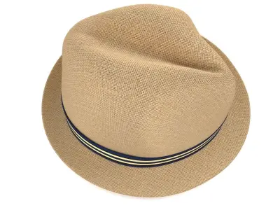 Women Fedora Hat 3D model