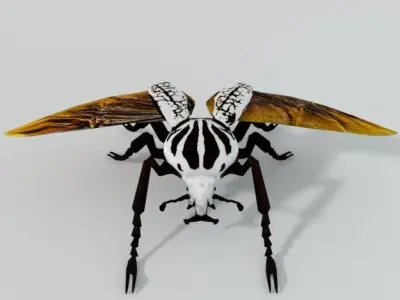 Beetle Goliath Low-poly 3D model