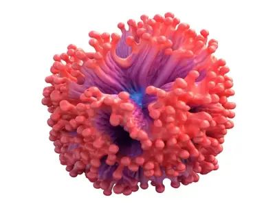 Coral reef collection 1-10 Low-poly 3D model