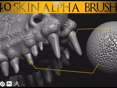40 Skin Brush Brushes for Blender and Zbrush-Skin Brush-Alpha 3D model