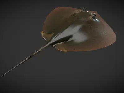 Akae 01 Low-poly 3D model