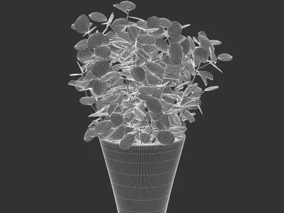  Young Silver Dollar Eucalyptus Plant Potted Plant Model 