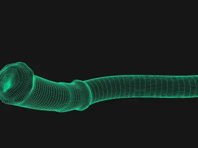 Horse cock tentacle - slime Low-poly 3D model