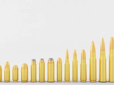 The Pistol and Rifle Cartridge Collection  3D model