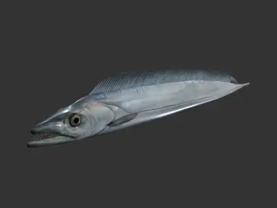 Sea Eel Low-poly 3D model