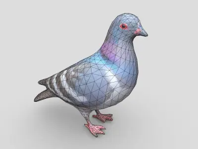 Standing Bird Pigeon Low-poly 3D model
