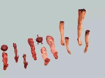 Horror Assets Human Corpse Body Part Collection X5 Pack 3D Model Low-poly 3D model