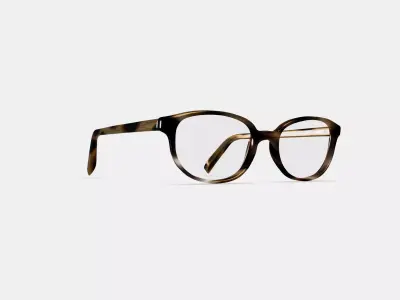Ira Eyeglasses in Striped Sassafras 3D model