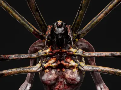 Mutant Spider - Horror Insects Collection Low-poly 3D model