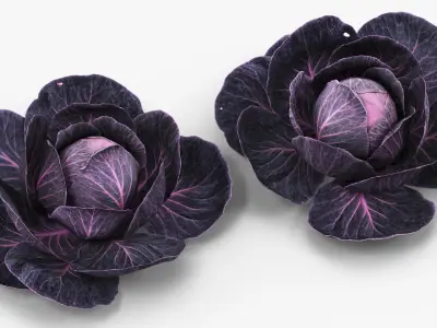 Leafy Cabbage Head Purple Dark 3D model