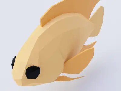 Severum Banded cichlid fish 3d model  Low-poly 3D model