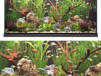 Aquarium 2 3D model