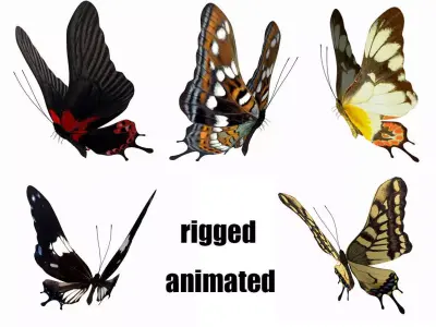 butterfly scalewing wing fly 3D model