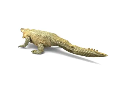 3D african crocodile alligator Low-poly 3D model